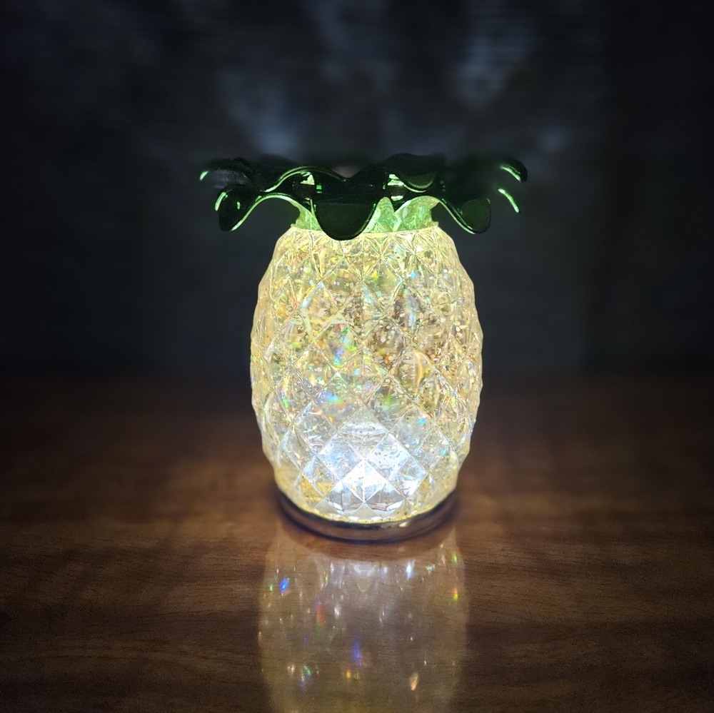 NWT Bath and Body Works Pineapple Snow Globe Candle Holder - Picture 4 of 10